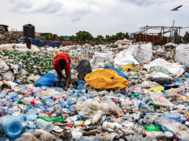 Plastiksammeln Müllhalde