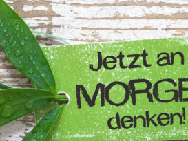 Nachhaltigkeit | Toel Recycling AG