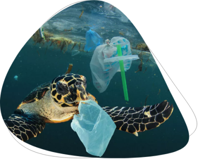 Des tortues nagent dans la mer à cause des déchets plastiques