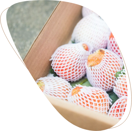 Styropor als Verpackung für Mangos und weitere empfindliche Lebensmittel