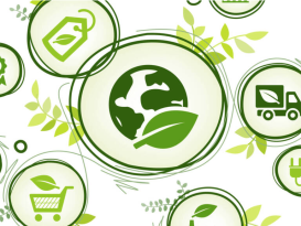 Nachhaltigkeit bei Firmen | Toel Recycling AG